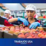Trabajos para Empacar Frutas cerca de Los Ángeles California