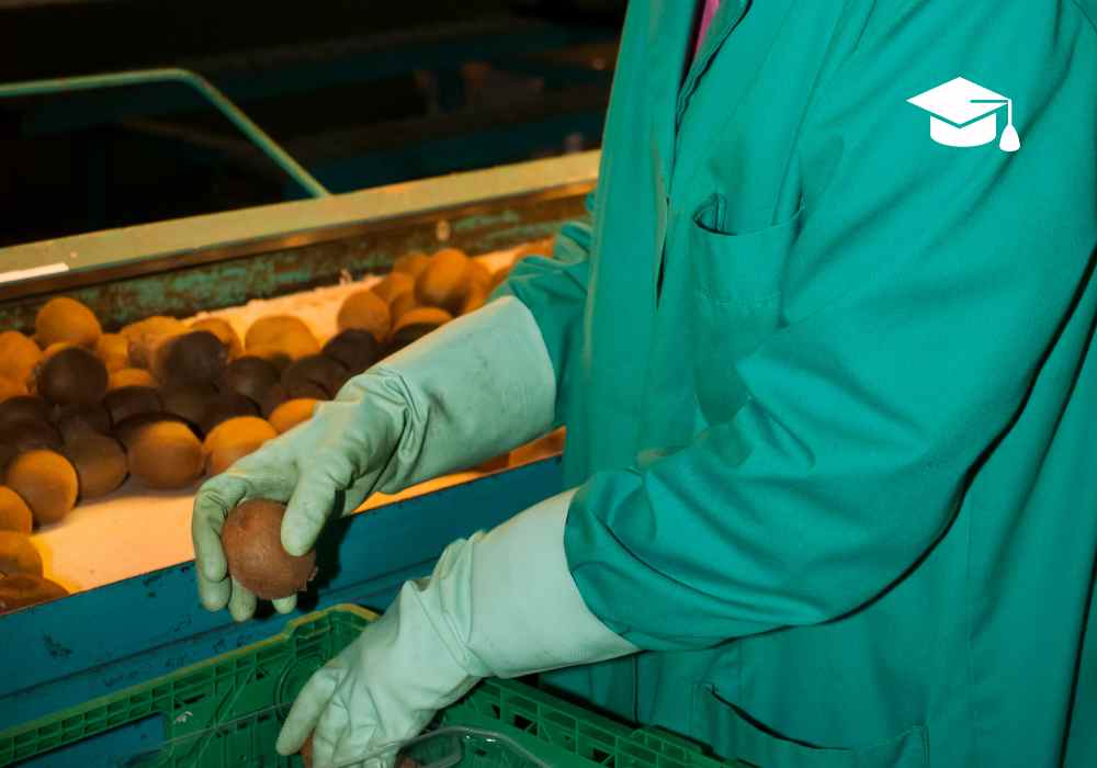 Trabajo para Empacar Frutas Cerca de Selma, California
