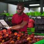 Trabajo para Empacar Frutas Cerca de West Covina, California